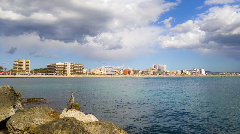 Mallorca aktuell vom 17. August: Hochsommer, volle Flughäfen und neue Freizeitangebote