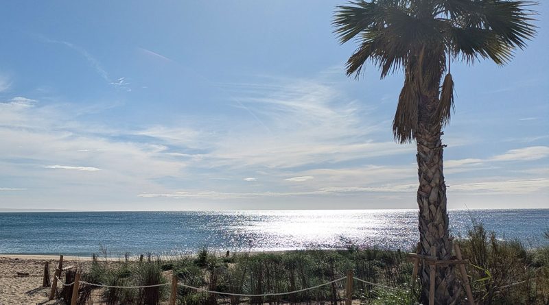 Mallorca aktuell vom 14. September