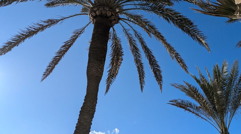 Mallorca aktuell vom 12. Oktober